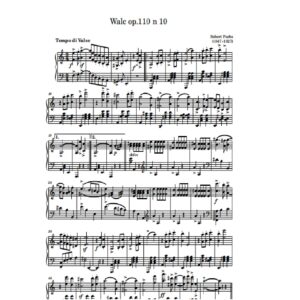 Fuchs R. Walc op.110 n 10