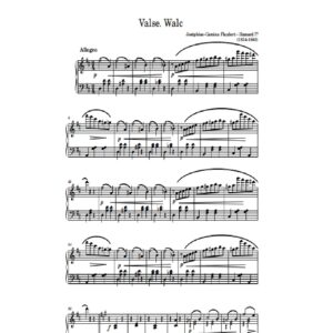 Flaubert – Hamard J.-C. Valse (Walc )